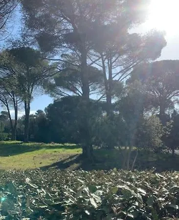 T3 Rez De Jardin, Piscine Frejus