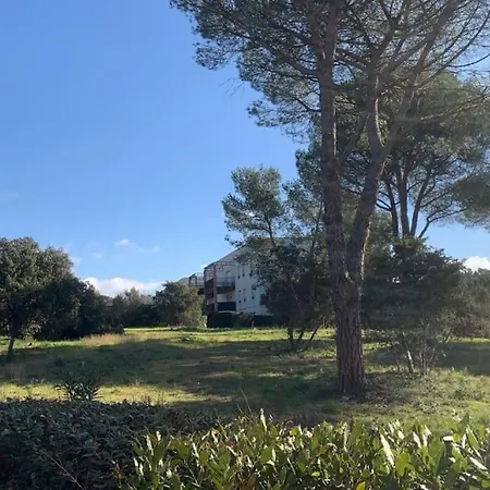 Apartment T3 Rez De Jardin, Piscine